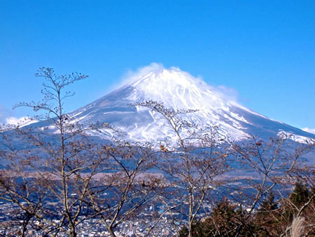 「霊峰富士」の写真