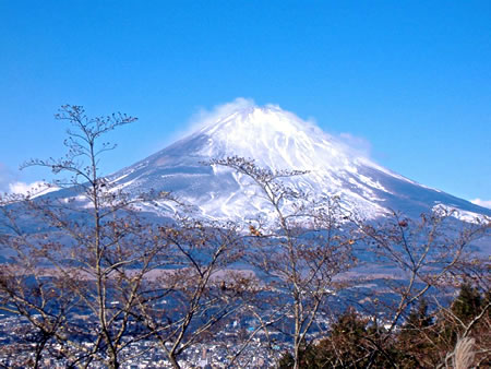 Mt.Fuji